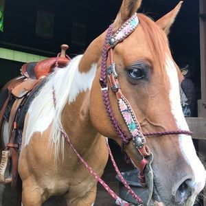Floral head stall/western bridle